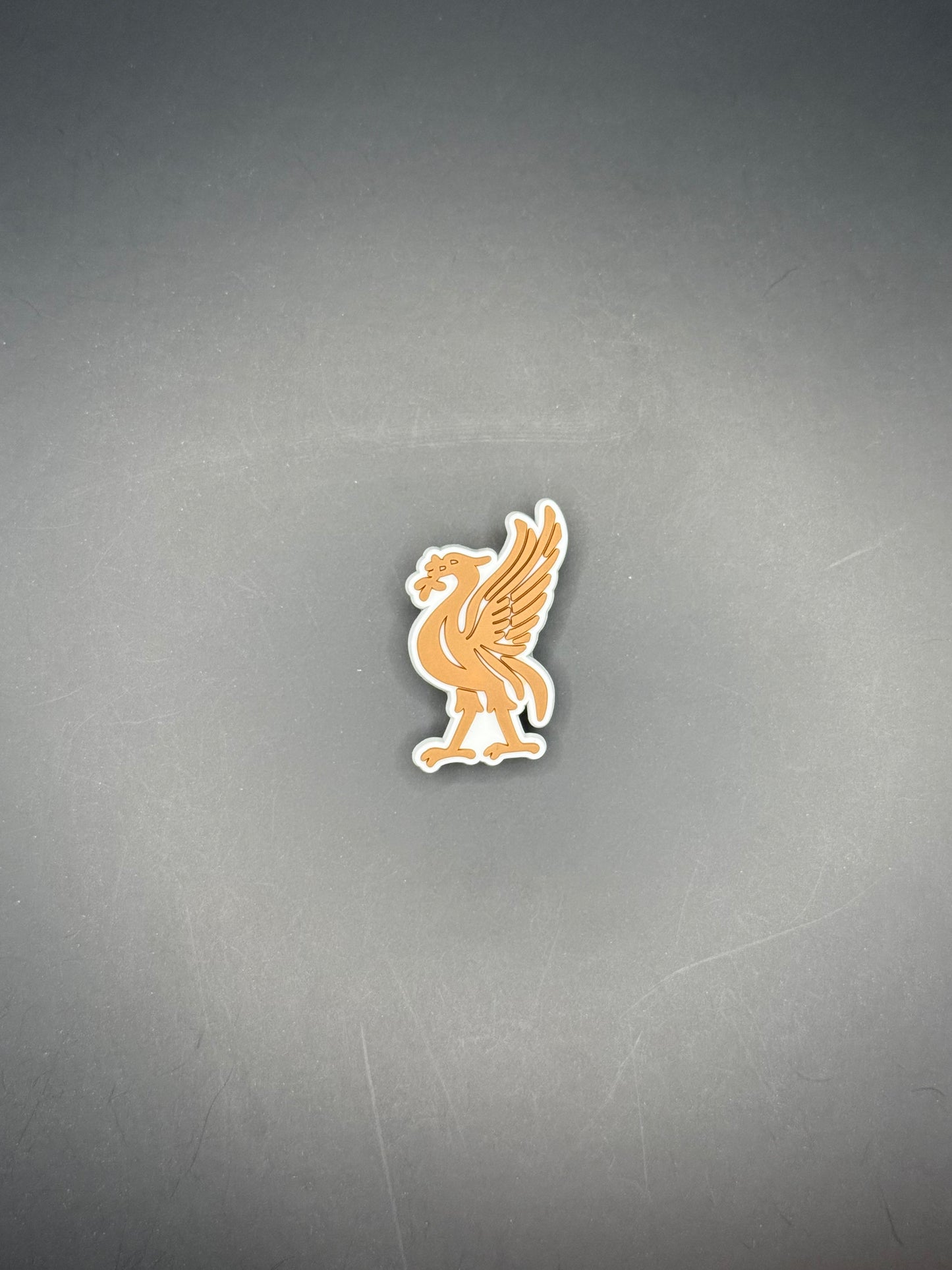 Football Fan Croc Charms/Jibbitz